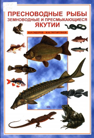 Рыбы Якутии Фото И Названия